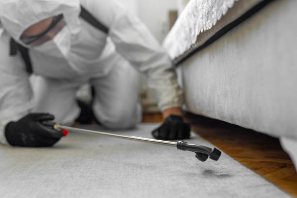 Professional Bed Bug Control technician working in Screven County County, GA